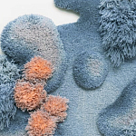 Тканый вручную Большой абстрактный гобелен Frost Forest варинант исполнения - 1 | Loft Concept в Воронеже