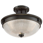 Потолочный светильник со стеклянным плафоном в виде купола Quoizel варинант исполнения - 8 | Loft Concept в Воронеже