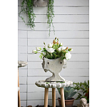 Кашпо Curly baby варинант исполнения - 10 | Loft Concept в Воронеже