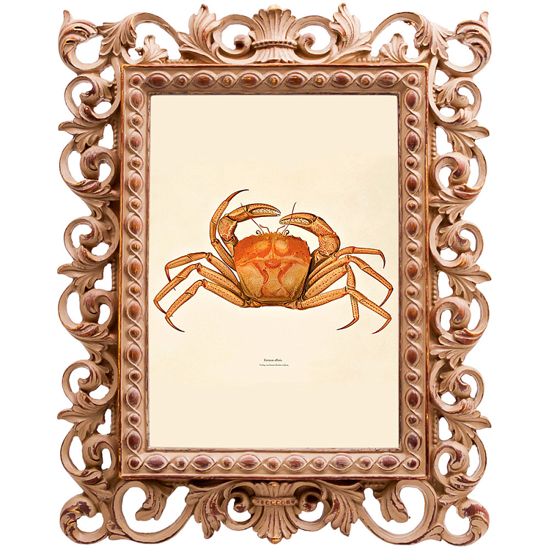 Постер Ocher Crab Poster Бежевый Оранжевый в Воронеже | Loft Concept 