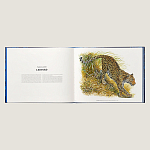 Лимитированная подарочная книга HERMES Fierce and Fragile book, English version варинант исполнения - 3 | Loft Concept в Воронеже
