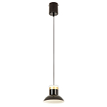 Подвесной светильник Celevis Black варинант исполнения - 2 | Loft Concept в Воронеже