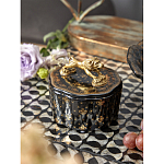 Шкатулка черного цвета с крышкой с фигуркой льва Eden Garden варинант исполнения - 6 | Loft Concept в Воронеже