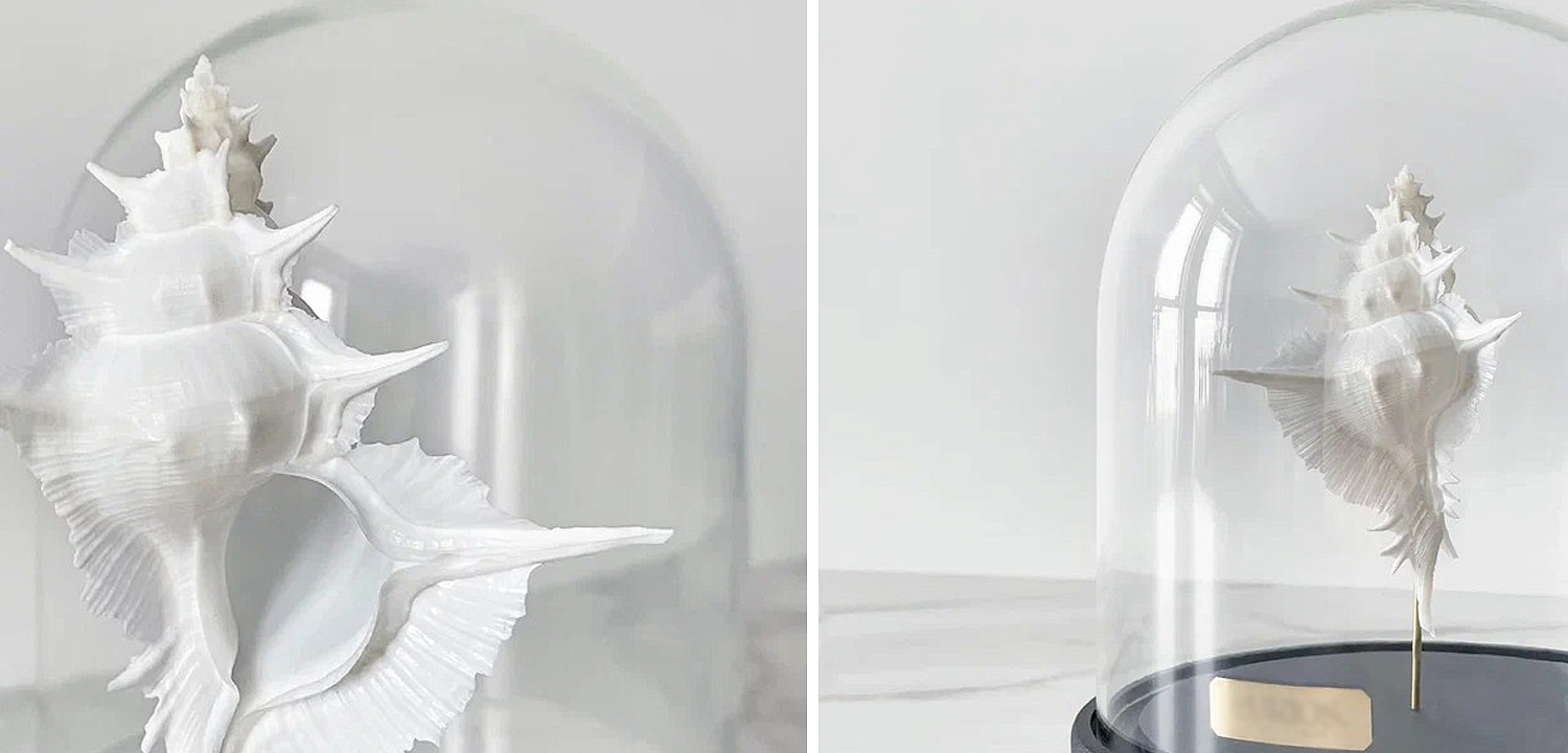 Статуэтка Murex Alabaster Glass Cloche Статуэтка Murex Alabaster Glass Cloche - Loft-Concept в Воронеже