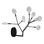 Бра в виде ветвей с прозрачными круглыми плафонами Moooi варинант исполнения - 2 | Loft Concept в Воронеже