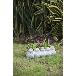 Кашпо Canaries варинант исполнения - 6 | Loft Concept в Воронеже