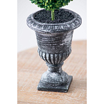 Декоративный искусственное растение Double boxwood варинант исполнения - 7 | Loft Concept в Воронеже