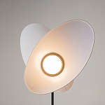 Напольный светильник Evolution 3000К 12Вт варинант исполнения - 5 | Loft Concept в Воронеже