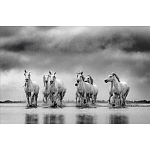 Книга Beusker. Look into my Eyes варинант исполнения - 4 | Loft Concept в Воронеже