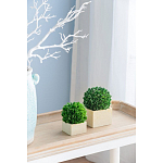 Декоративный искусственное растение Square boxwood варинант исполнения - 5 | Loft Concept в Воронеже
