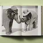 Книга в подарок творческий путь Брюса Вебера Bruce Weber. My Education варинант исполнения - 6 | Loft Concept в Воронеже