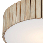 Потолочный светильник круглый светодиодный Contrasting Elements варинант исполнения - 1 | Loft Concept в Воронеже