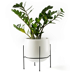 Кашпо из керамики Elevated Planters 32 варинант исполнения - 11 | Loft Concept в Воронеже