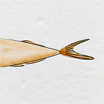 Плитка с узором Рыба Русалка варинант исполнения - 6 | Loft Concept в Воронеже