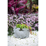 Кашпо A collection of baby rabbits варинант исполнения - 9 | Loft Concept в Воронеже