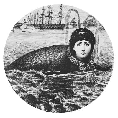Декоративная тарелка Fornasetti 30.CR.BW.R01-195 Декоративная тарелка Fornasetti 30.CR.BW.R01-195