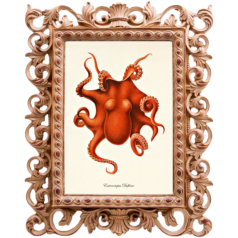 Постер Red Octopus Poster Бежевый Красный в Воронеже | Loft Concept 