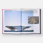 Radical Architecture of the Future варинант исполнения - 4 | Loft Concept в Воронеже