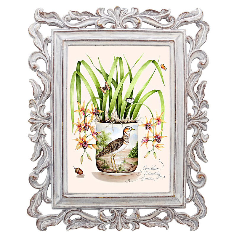 Постер Orange Orchid Poster Мульти Белый винтажная патина   в Воронеже | Loft Concept 