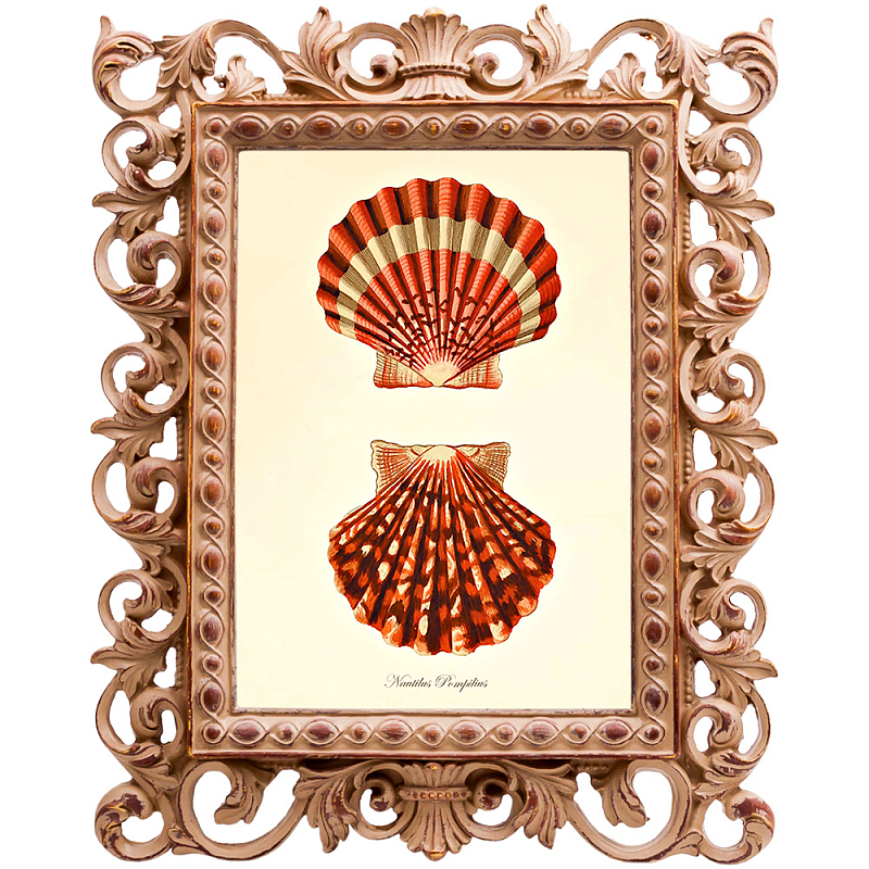 Постер Red Scallop Poster Бежевый Красный в Воронеже | Loft Concept 