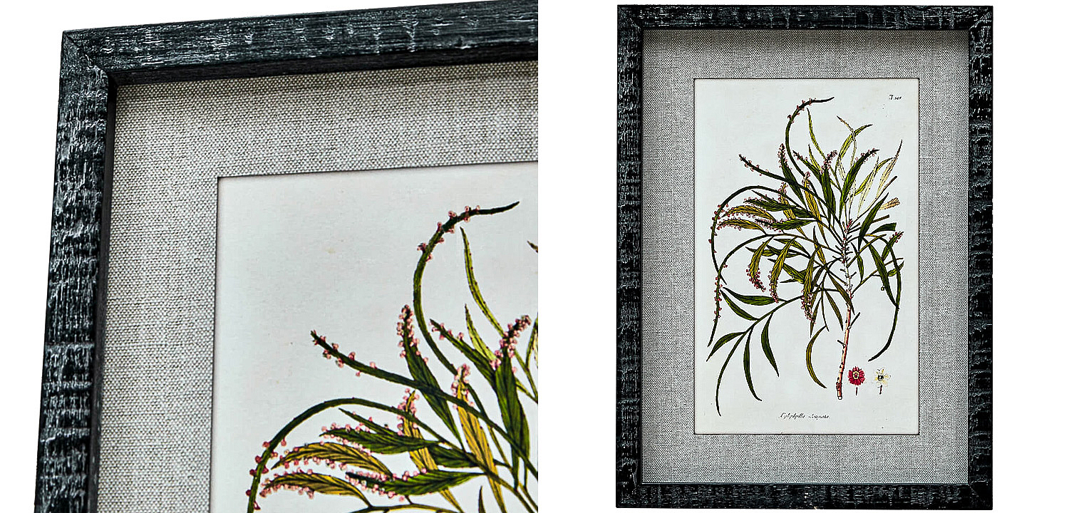 Набор постеров Herbarium Yellow Flowers Набор постеров Herbarium Yellow Flowers - Loft-Concept в Воронеже