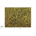 Редкое подарочное издание Yayoi Kusama: 1945 to Now варинант исполнения - 7 | Loft Concept в Воронеже