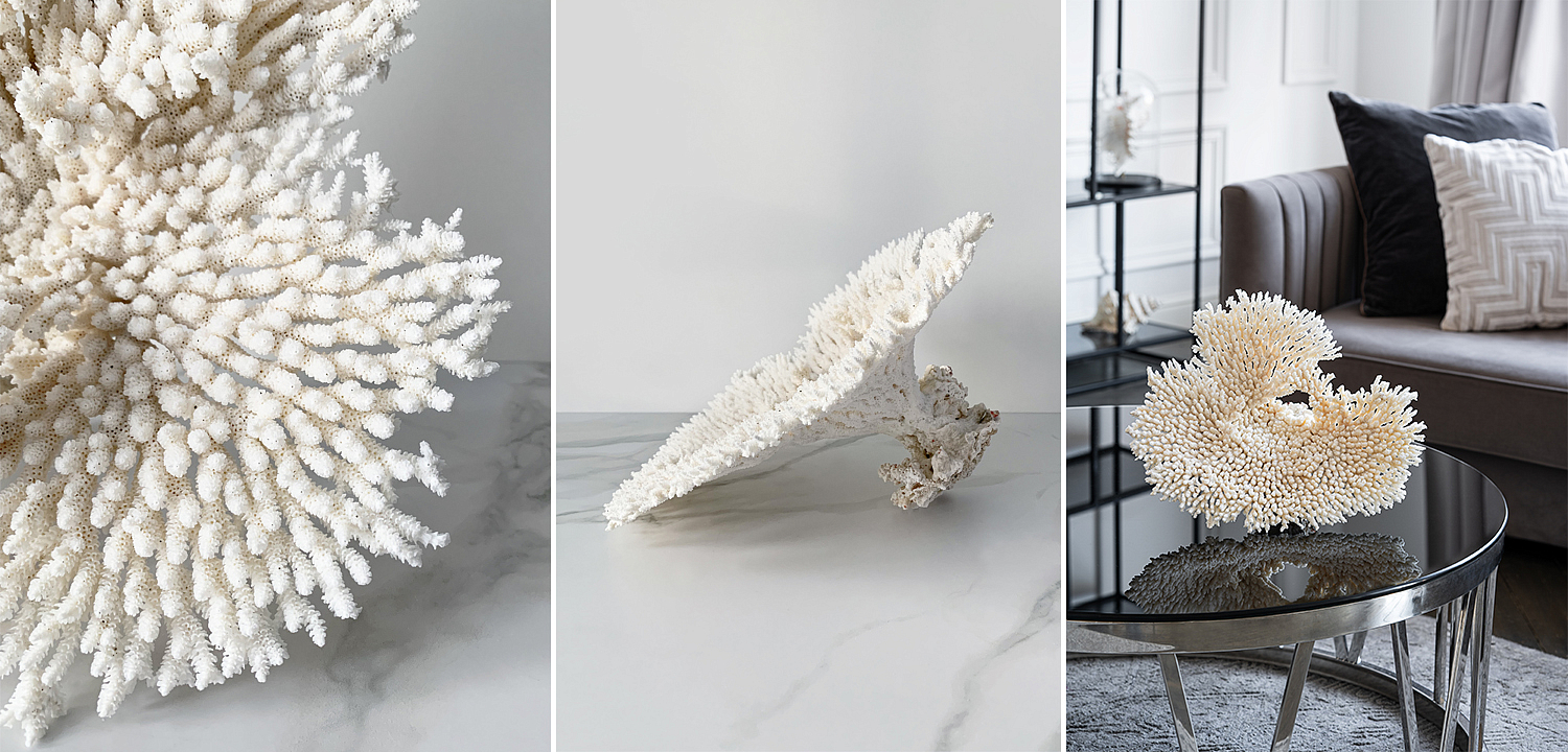 Статуэтка Table Coral Статуэтка Table Coral - Loft-Concept в Воронеже