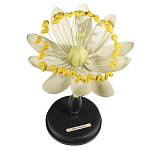 Статуэтка Tilia варинант исполнения - 1 | Loft Concept в Воронеже