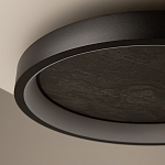 Потолочный светильник Orign 3000К варинант исполнения - 5 | Loft Concept в Воронеже