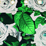 Штора Seletti Roses варинант исполнения - 1 | Loft Concept в Воронеже