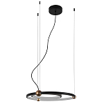 Люстра подвесная светодиодная черный металл Ring Horizontal варинант исполнения - 2 | Loft Concept в Воронеже