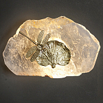 Бра Декоративный лист с стрекозой Glacial Fragment варинант исполнения - 2 | Loft Concept в Воронеже