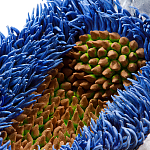 Дизайнерская статуэтка для интерьера Tropical Fruit Pandora 12 варинант исполнения - 3 | Loft Concept в Воронеже