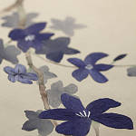 Обои ручная роспись Cherry Tree Original colourway on Stone Ochre dyed silk варинант исполнения - 3 | Loft Concept в Воронеже