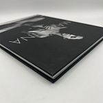 Коллекционная редкая книга Madonna: Nudes + by Martin H.M. Schreiber 2017 Букинистика варинант исполнения - 4 | Loft Concept в Воронеже