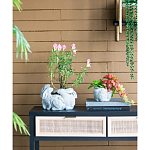 Кашпо A collection of baby rabbits варинант исполнения - 5 | Loft Concept в Воронеже