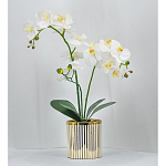 Декоративный искусственное растение Lush Orchid варинант исполнения - 2 | Loft Concept в Воронеже