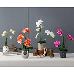 Декоративный искусственное растение Pink orchid варинант исполнения - 11 | Loft Concept в Воронеже