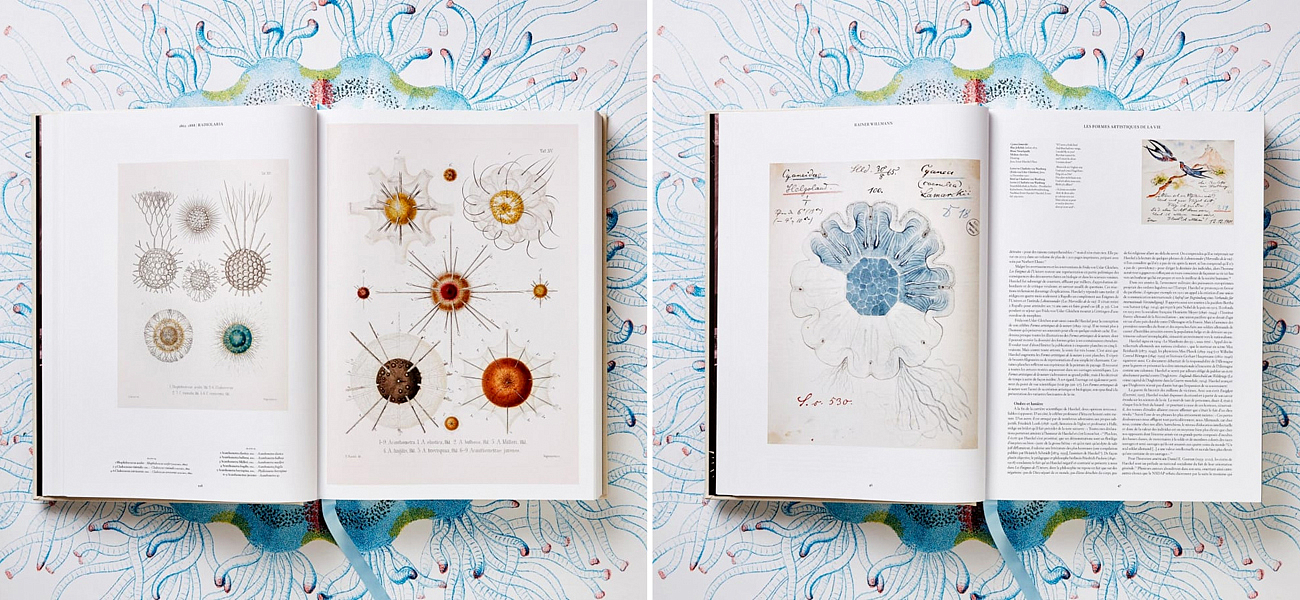 The Art and Science of Ernst Haeckel XXL The Art and Science of Ernst Haeckel XXL - Loft-Concept в Воронеже