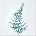 Плитка с узором Папоротник варинант исполнения - 2 | Loft Concept в Воронеже