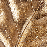 Статуэтка Metal Flowers Gold Black powder варинант исполнения - 2 | Loft Concept в Воронеже