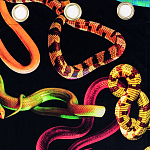 Штора Seletti Snakes Black варинант исполнения - 1 | Loft Concept в Воронеже