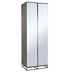 Двухдверный шкаф с зеркальными дверцами Strict Lines варинант исполнения - 1 | Loft Concept в Воронеже