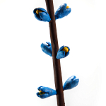 Синий экзотический фрукт статуэтка для интерьераTropical Fruit Pandora 9 варинант исполнения - 2 | Loft Concept в Воронеже