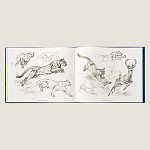 Лимитированная подарочная книга HERMES Fierce and Fragile book, English version варинант исполнения - 4 | Loft Concept в Воронеже