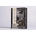 Книга Fantastic Gustave Dore варинант исполнения - 3 | Loft Concept в Воронеже