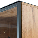 Шкаф Condition варинант исполнения - 3 | Loft Concept в Воронеже