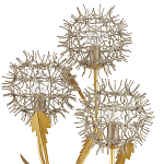 Торшер в виде цветка одуванчика Hanging Dandelion варинант исполнения - 1 | Loft Concept в Воронеже