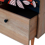 Шкаф с принтом Kario варинант исполнения - 3 | Loft Concept в Воронеже