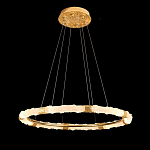 Люстра в форме кольца с золотым декором Warm Heavenly Light варинант исполнения - 9 | Loft Concept в Воронеже